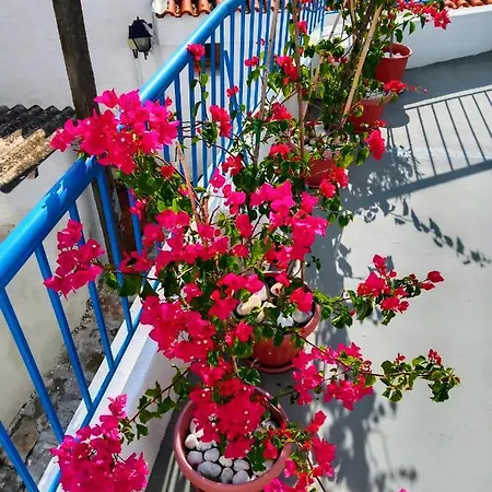 Le Bateau Homestay Skiathos Town